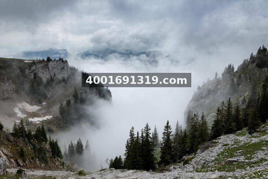 zoty中欧 赛季中段数据解读：如何用节奏与效率指标看清篮球比赛走势